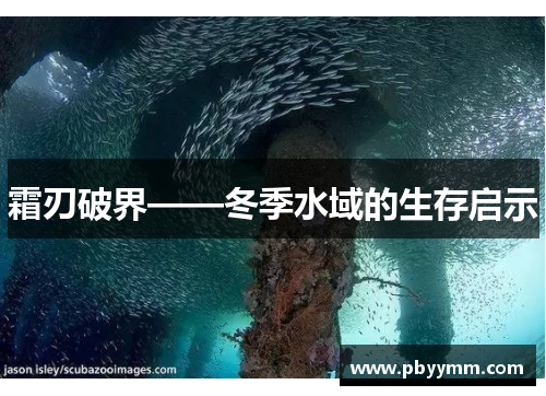 霜刃破界——冬季水域的生存启示
