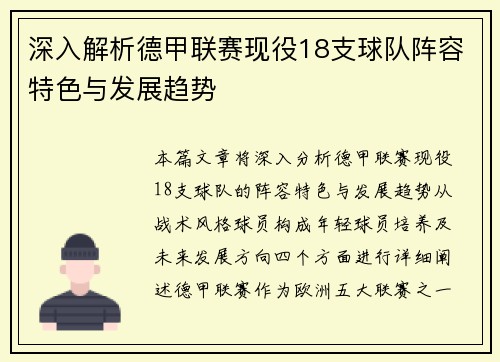 深入解析德甲联赛现役18支球队阵容特色与发展趋势