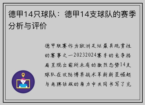 德甲14只球队：德甲14支球队的赛季分析与评价