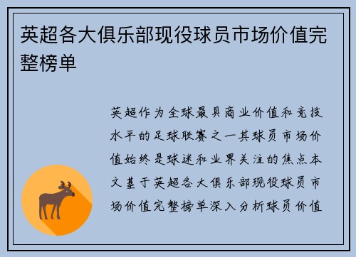 英超各大俱乐部现役球员市场价值完整榜单
