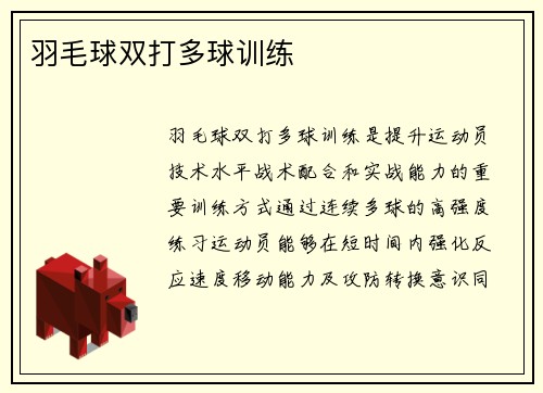 羽毛球双打多球训练